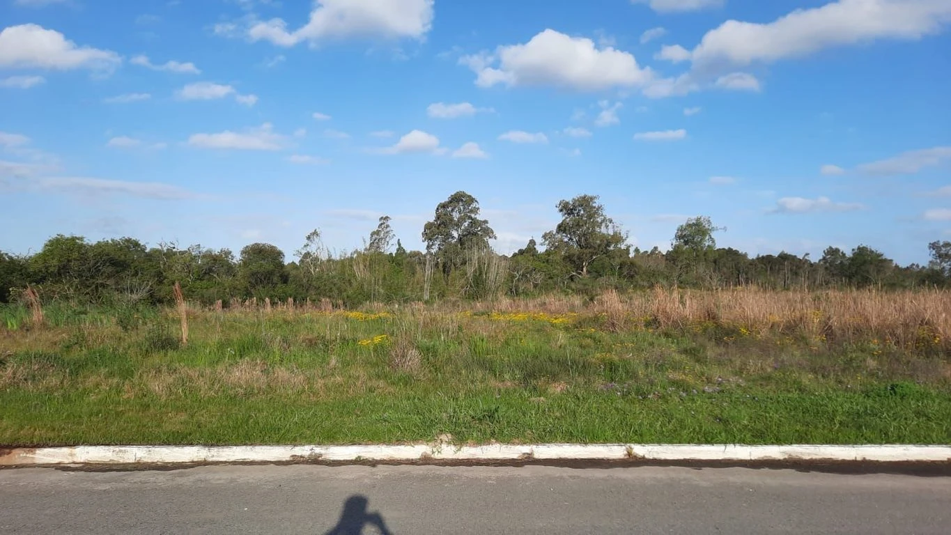 Terreno Comercial no Bairro Liberdade