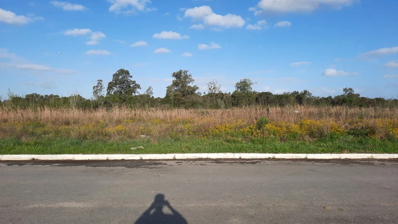 Terreno Comercial no Bairro Liberdade